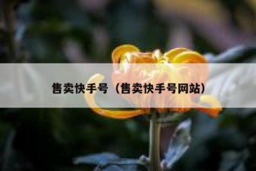 售卖快手号（售卖快手号网站）