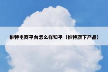 推特电商平台怎么样知乎（推特旗下产品）