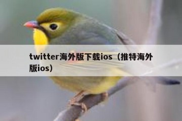 twitter海外版下载ios（推特海外版ios）