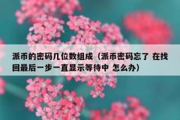 派币的密码几位数组成（派币密码忘了 在找回最后一步一直显示等待中 怎么办）