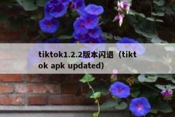 tiktok1.2.2版本闪退（tiktok apk updated）
