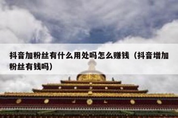 抖音加粉丝有什么用处吗怎么赚钱（抖音增加粉丝有钱吗）