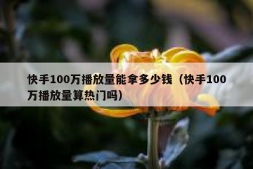 快手100万播放量能拿多少钱（快手100万播放量算热门吗）