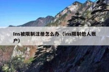 Ins被限制注册怎么办（ins限制他人账户）