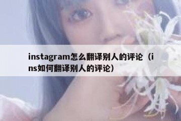 instagram怎么翻译别人的评论（ins如何翻译别人的评论）