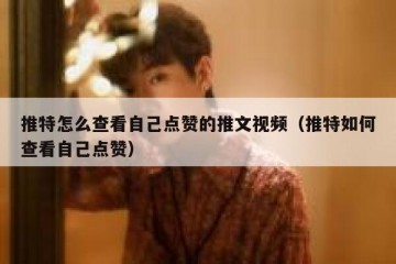 推特怎么查看自己点赞的推文视频（推特如何查看自己点赞）