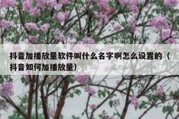 抖音加播放量软件叫什么名字啊怎么设置的（抖音如何加播放量）