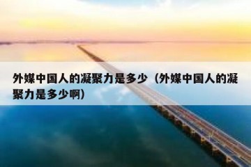 外媒中国人的凝聚力是多少（外媒中国人的凝聚力是多少啊）