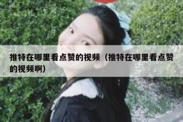推特在哪里看点赞的视频（推特在哪里看点赞的视频啊）