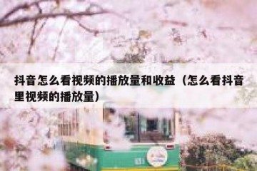 抖音怎么看视频的播放量和收益（怎么看抖音里视频的播放量）