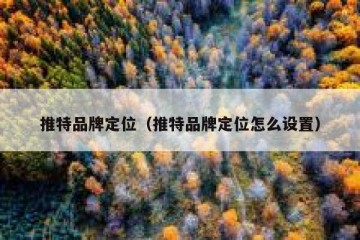 推特品牌定位（推特品牌定位怎么设置）