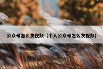 公众号怎么发视频（个人公众号怎么发视频）