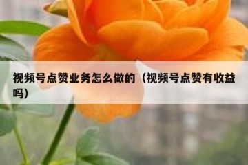 视频号点赞业务怎么做的（视频号点赞有收益吗）