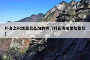抖音上粉丝是怎么加的啊（抖音点哪里加粉丝）