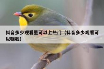 抖音多少观看量可以上热门（抖音多少观看可以赚钱）