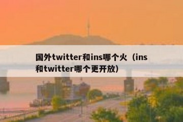 国外twitter和ins哪个火（ins和twitter哪个更开放）