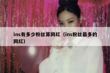 ins有多少粉丝算网红（ins粉丝最多的网红）