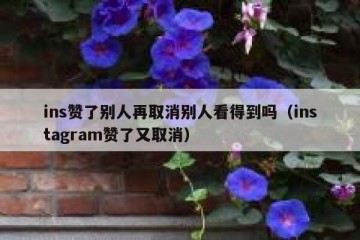 ins赞了别人再取消别人看得到吗（instagram赞了又取消）
