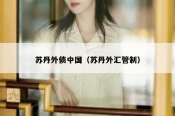 苏丹外债中国（苏丹外汇管制）