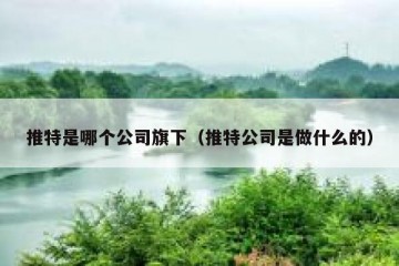推特是哪个公司旗下（推特公司是做什么的）