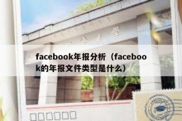 facebook年报分析（facebook的年报文件类型是什么）