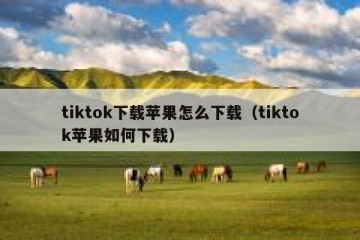 tiktok下载苹果怎么下载（tiktok苹果如何下载）