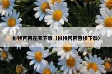 推特官网在哪下载（推特官网直接下载）