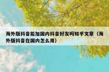 海外版抖音能加国内抖音好友吗知乎文章（海外版抖音在国内怎么用）