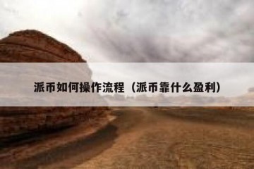 派币如何操作流程（派币靠什么盈利）