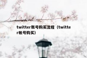 twitter账号购买流程（twitter帐号购买）