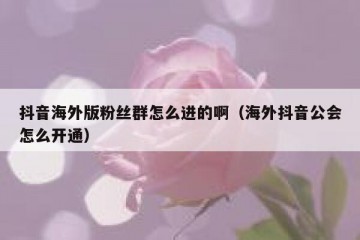 抖音海外版粉丝群怎么进的啊（海外抖音公会怎么开通）