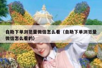 自助下单浏览量微信怎么看（自助下单浏览量微信怎么看的）