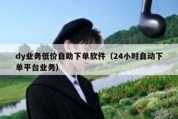 dy业务低价自助下单软件（24小时自动下单平台业务）