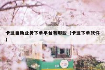 卡盟自助业务下单平台有哪些（卡盟下单软件）