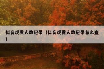抖音观看人数纪录（抖音观看人数纪录怎么查）