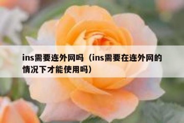ins需要连外网吗（ins需要在连外网的情况下才能使用吗）