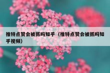 推特点赞会被抓吗知乎（推特点赞会被抓吗知乎视频）