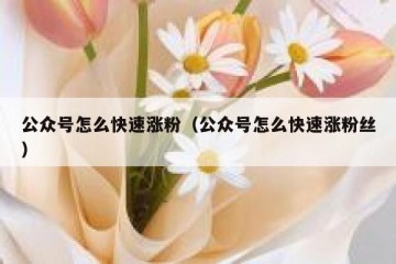 公众号怎么快速涨粉（公众号怎么快速涨粉丝）