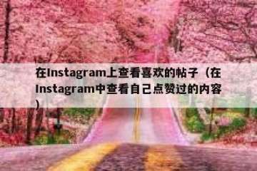 在Instagram上查看喜欢的帖子（在Instagram中查看自己点赞过的内容）