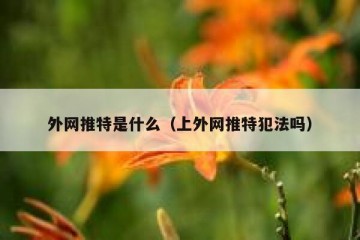 外网推特是什么（上外网推特犯法吗）
