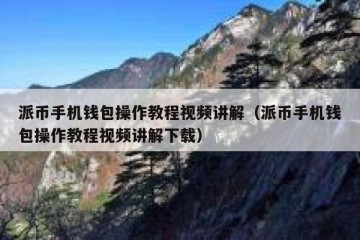 派币手机钱包操作教程视频讲解（派币手机钱包操作教程视频讲解下载）
