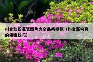 抖音涨粉涨赞图片大全最新视频（抖音涨粉真的能赚钱吗）