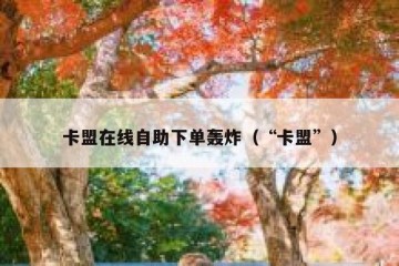 卡盟在线自助下单轰炸（“卡盟”）