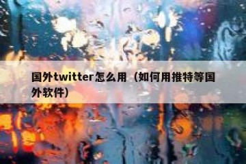 国外twitter怎么用（如何用推特等国外软件）