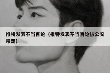 推特发表不当言论（推特发表不当言论被公安带走）