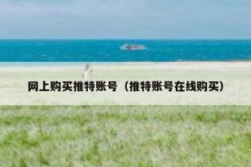 网上购买推特账号（推特账号在线购买）