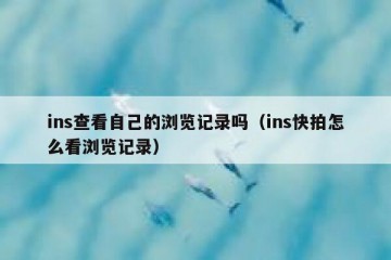 ins查看自己的浏览记录吗（ins快拍怎么看浏览记录）