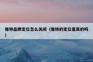 推特品牌定位怎么关闭（推特的定位是真的吗）