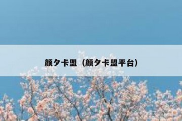 颜夕卡盟（颜夕卡盟平台）