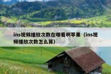 ins视频播放次数在哪看啊苹果（ins视频播放次数怎么算）